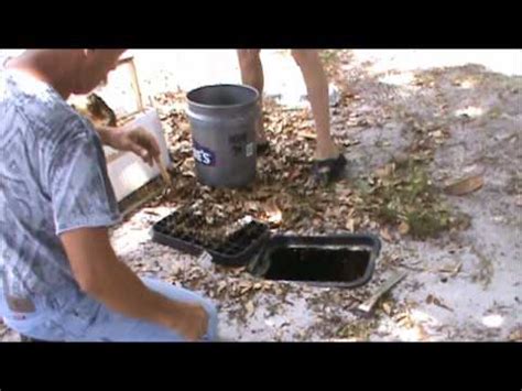 how to get rid of bees in electrical box|bees in meter boxes.